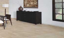 2009ǌЇÿһI(y)ġȫwz